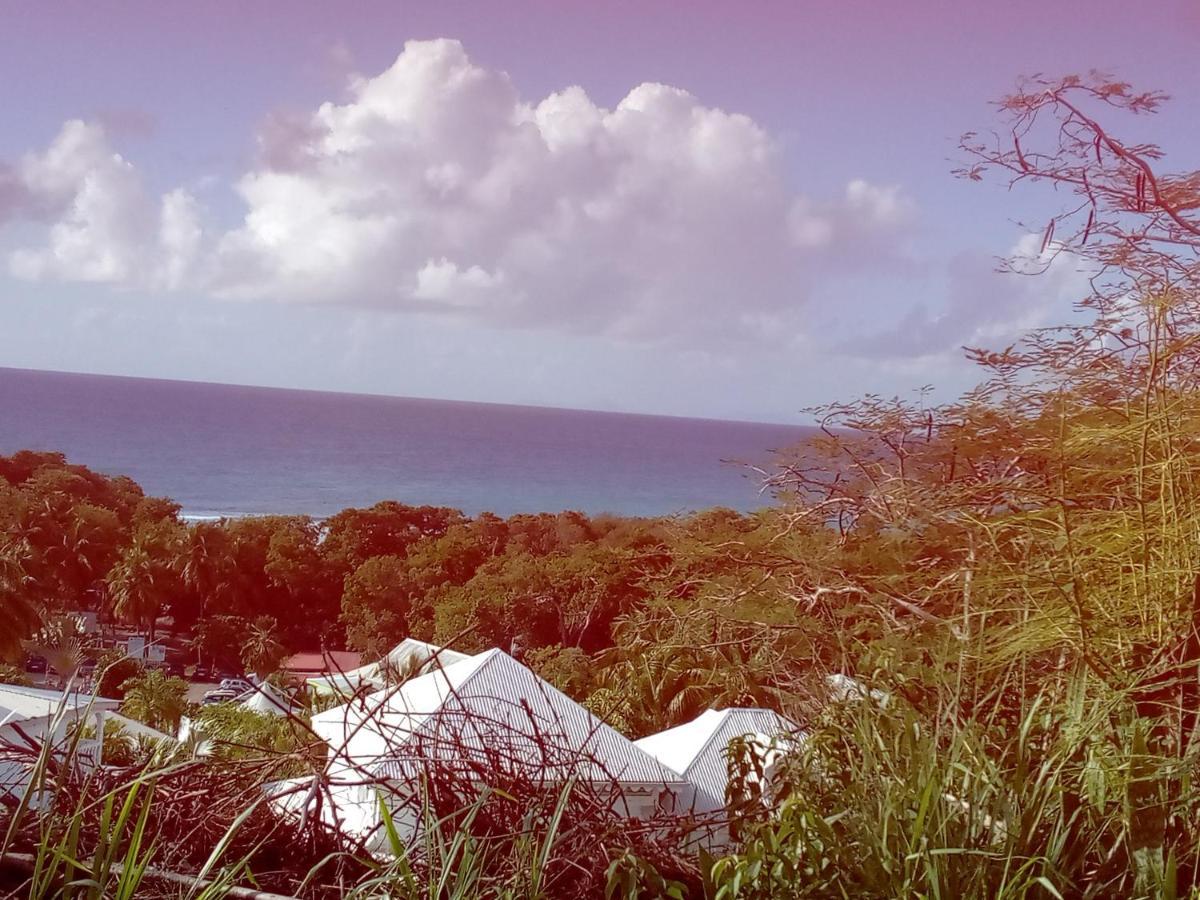 Villa Tournesol D Or Le Gosier  Luaran gambar
