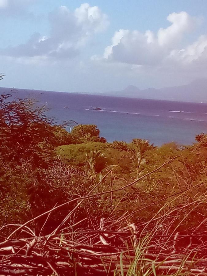 Villa Tournesol D Or Le Gosier  Luaran gambar