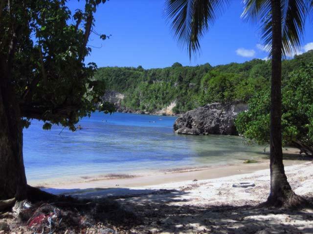 Villa Tournesol D Or Le Gosier  Luaran gambar