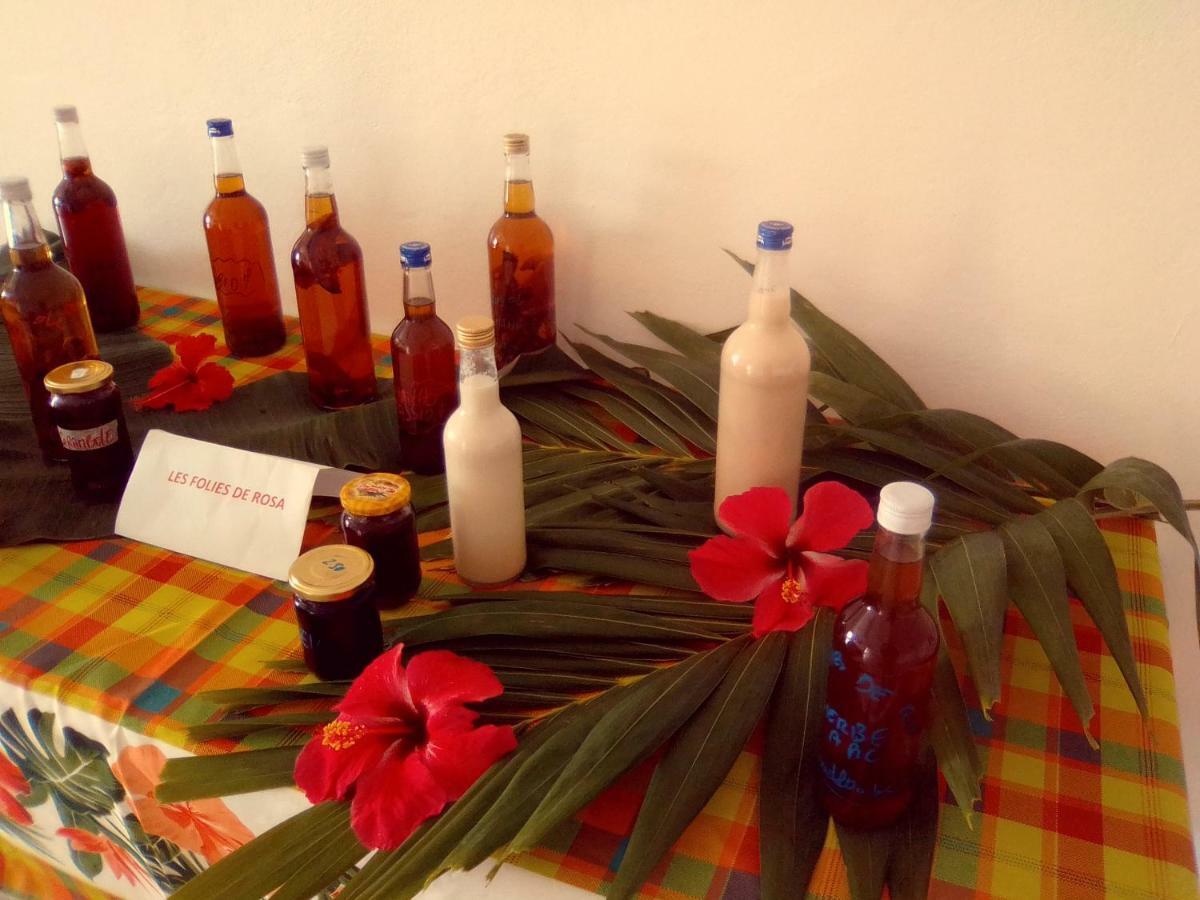 Villa Tournesol D Or Le Gosier  Luaran gambar