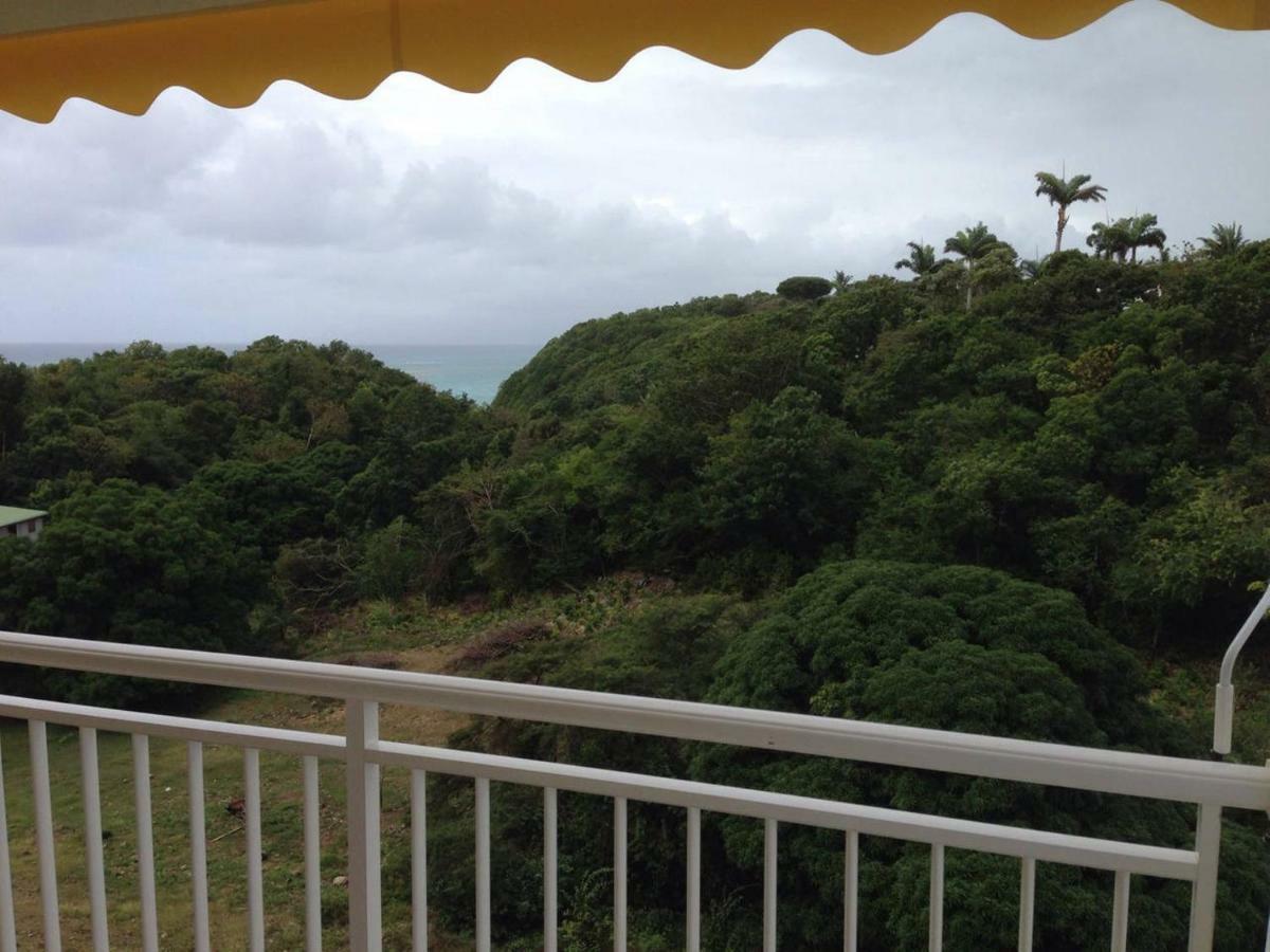 Villa Tournesol D Or Le Gosier  Luaran gambar